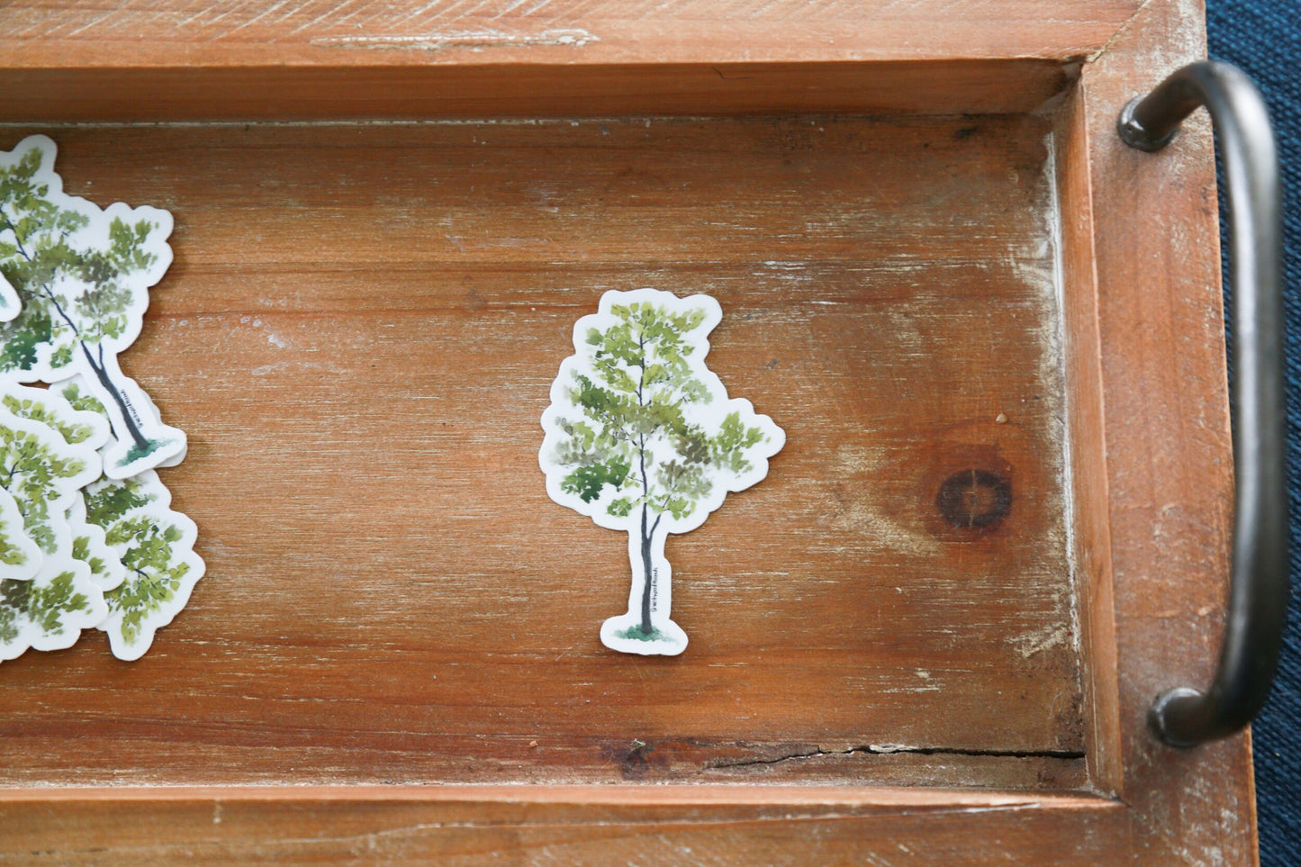 Spring Tree | Sticker