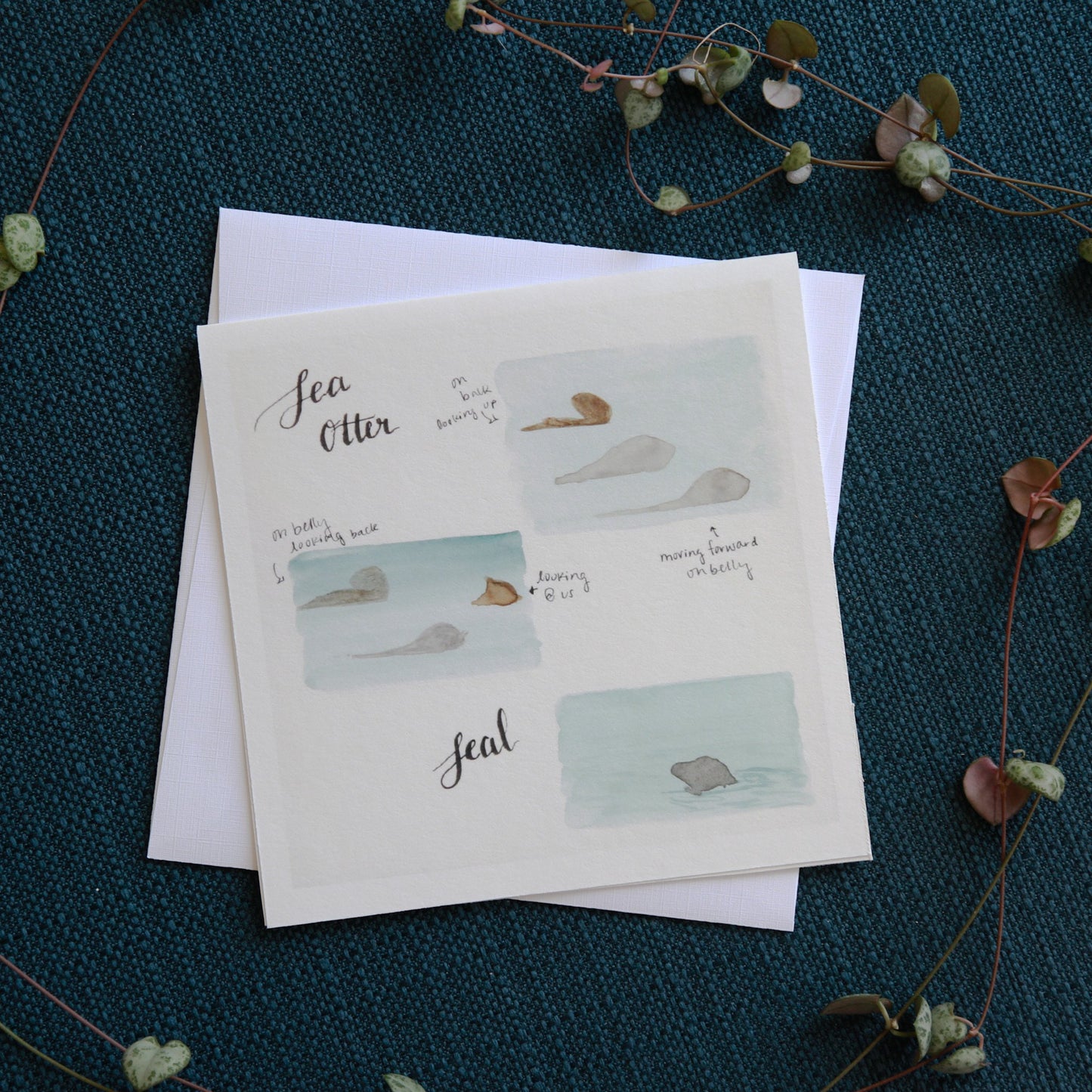 Sea Otter & Seal Card